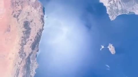 Space Fly