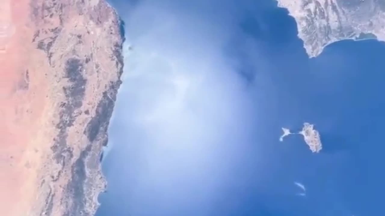 Space Fly