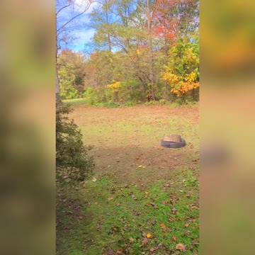 Sunday Funday - Mariah Carey Tryouts