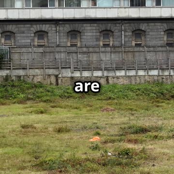 Top 5 US Cities with the Largest Homeles