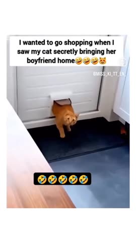 Brings back so many great memories 🤣