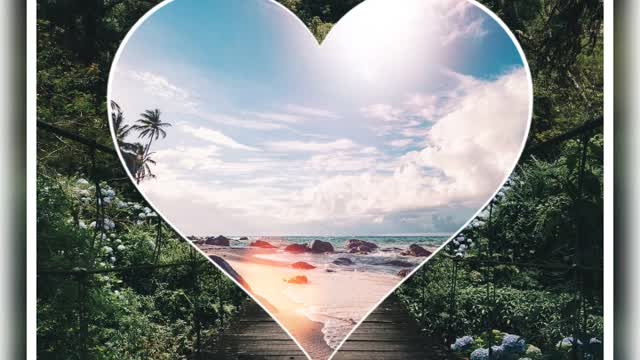Nice video photos