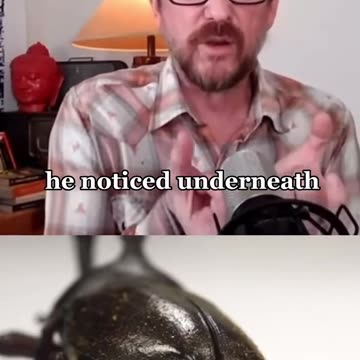 Viktor Grebennikov – Russian Entomologist – Invented a Levitation Platform from Scarab Beatle Wings