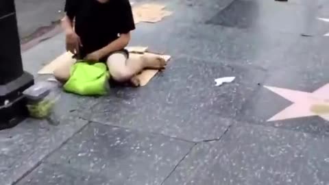 California, a state swept by the Democrats