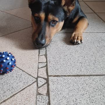 When it was very boring at home alone