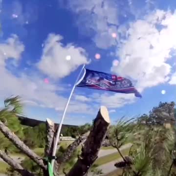 EXCLUSIVE FOOTAGE: Man hanging Trump Flags on the tops of trees in Texas!! 🇺🇸🇺🇸🇺🇸