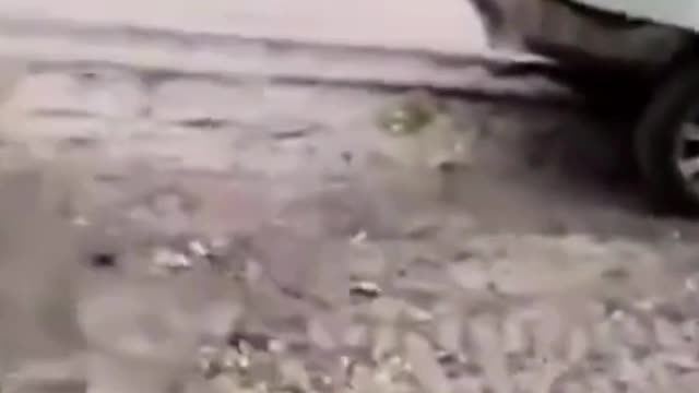 Demo Team Complete Their Mission-Bridge Gone