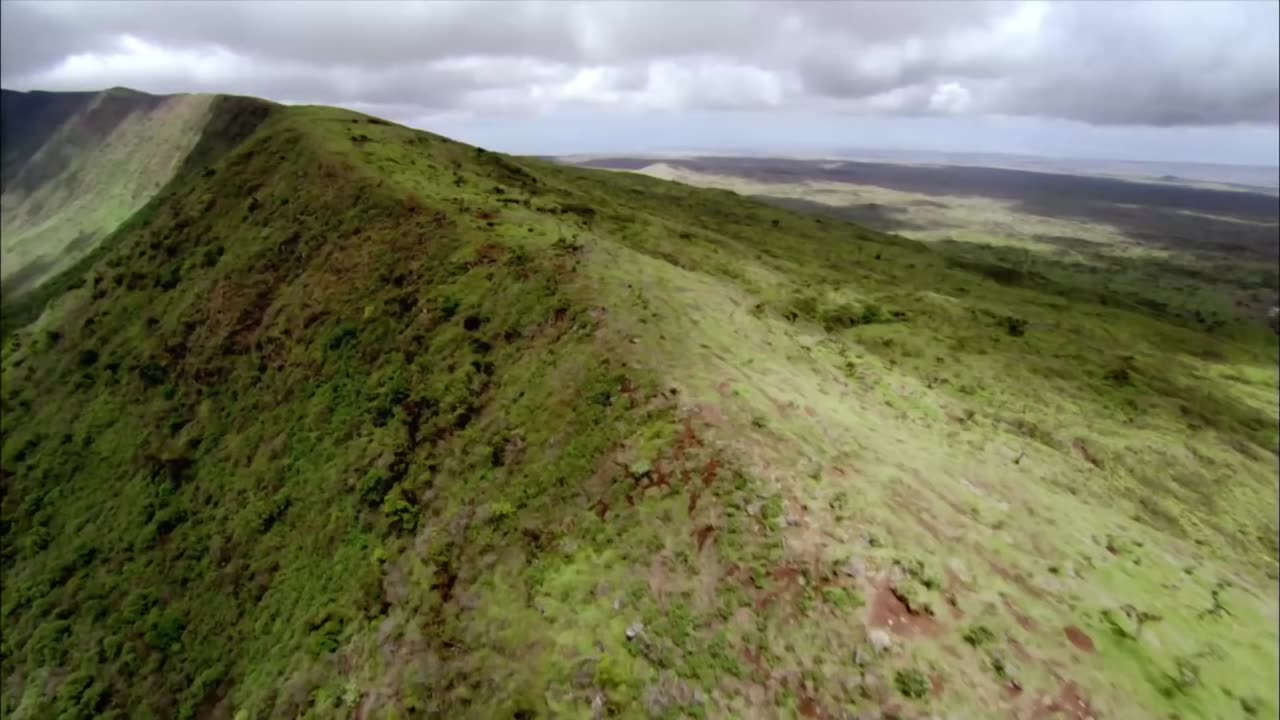 Wild Galapagos - Part 3: In the Grip of the Ocean | Wildlife Documentary | Free Documentary Nature