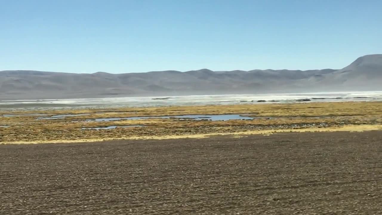 Tour to Salar de Tara in Atacama desert, Chile