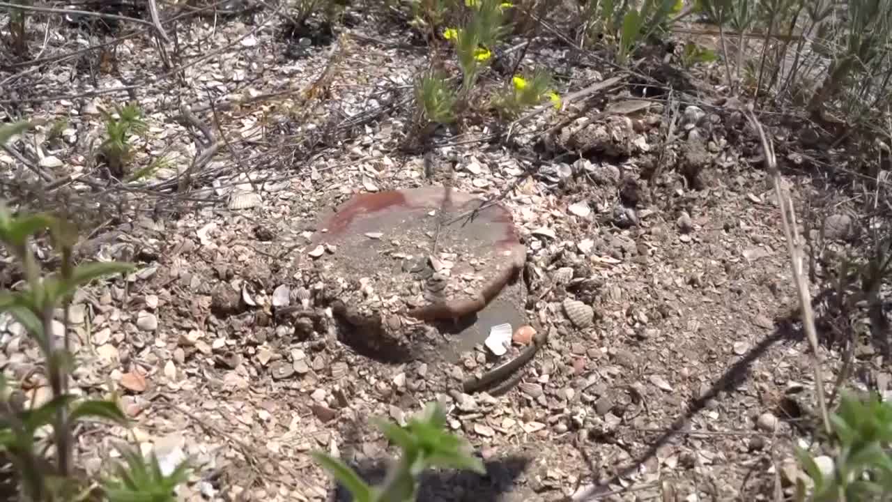 🇷🇺 Mine-clearance of Arabatskaya Strelka by Russian servicemen