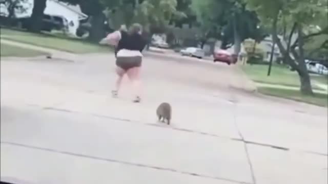 HILARIOUS LITTLE ANIMAL CHASE FAT LADY