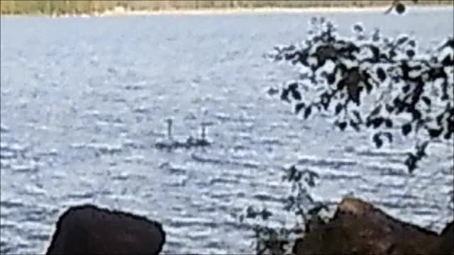 Indy Angel - Eilen rannalla