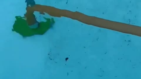 Limpeza satisfatória