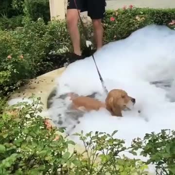 It was kind of unexpected but it seems he is having fun