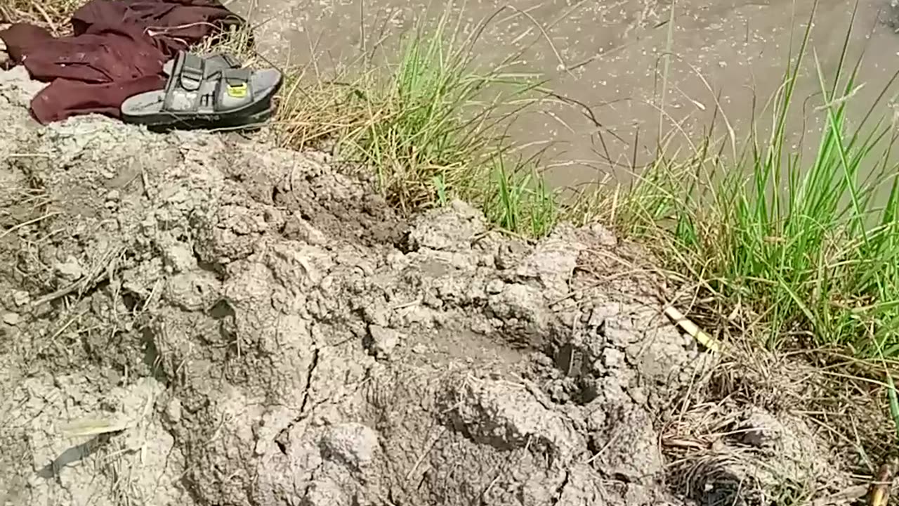 Funny video 🤣🤣🤣