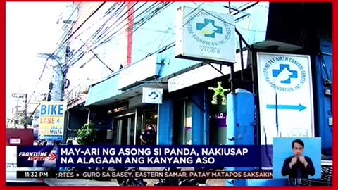 Asong si 'Panda," inabandona ng kaniyang amo