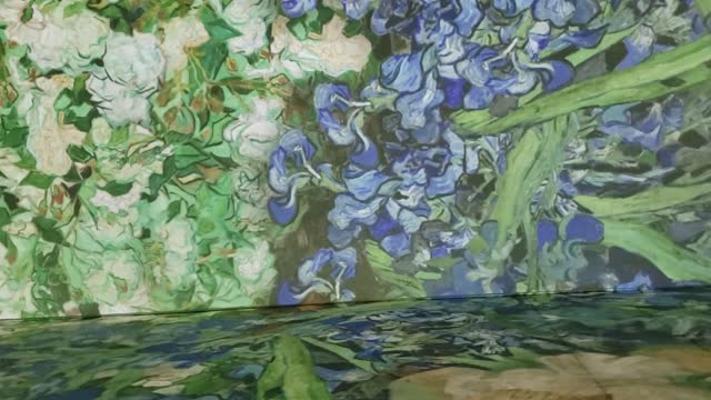 Van Gogh Immersive Experience