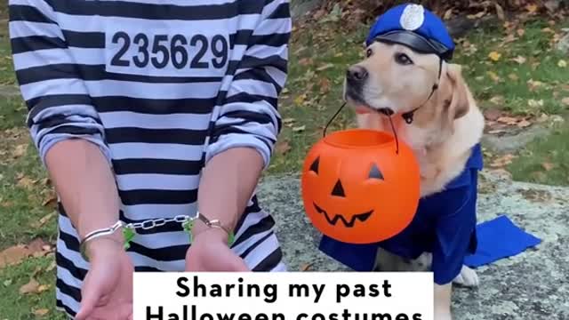 Sharing my pastHalloween costumes