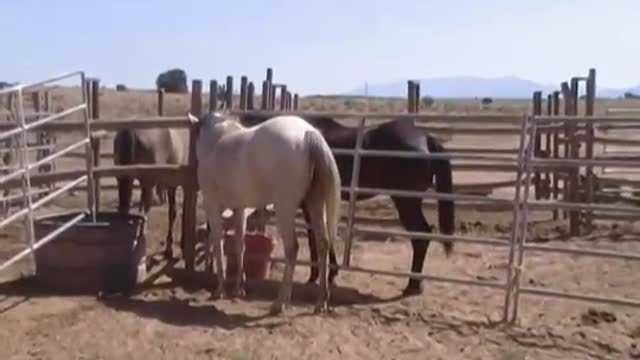 Bonanza Creek Old West Movie Set Santa Fe, NM Part 2