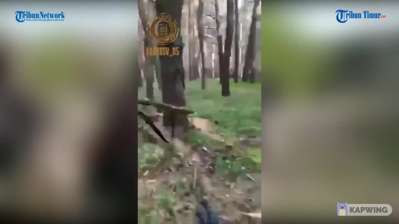 Fierce Battle between Chechen forces and Ukrainian Nationalists in the forest