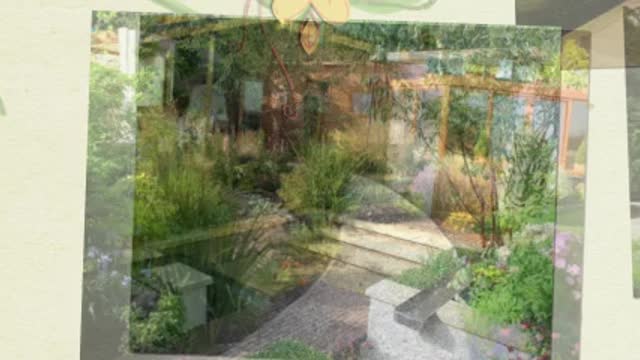 Landscaping ideas for front and back yard