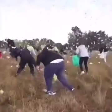 Czech TV star Kamil Bartoshek throws a million dollars