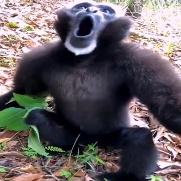 When I haven't seen a woman for a month