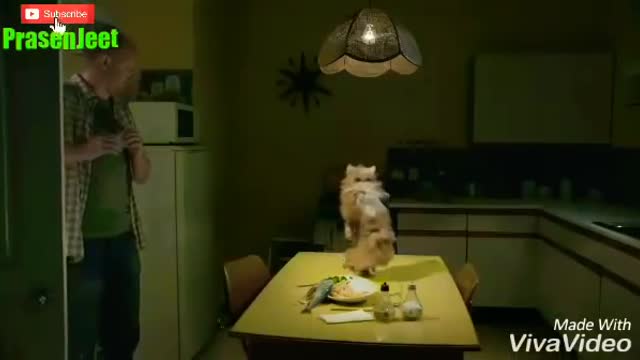 ANIMALS GOT SEDUCED OVER A DRINK!!!! LOL!!