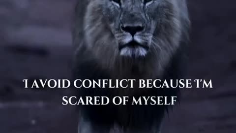 I avoid conflict because...