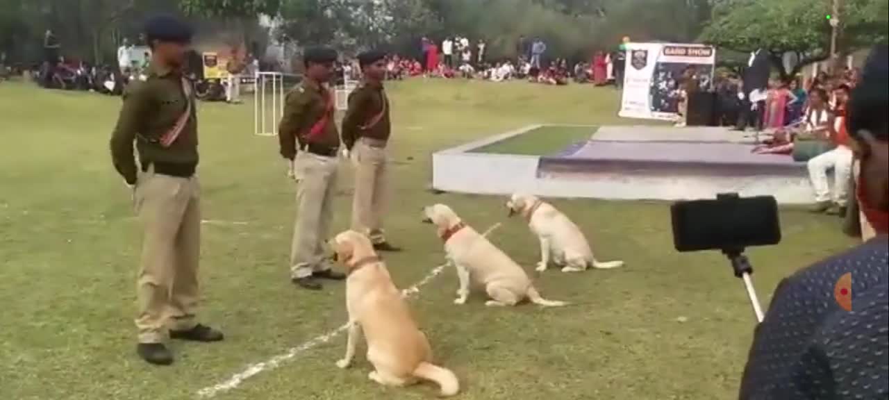 New video by Indian army dog training. Keep watching full video and support me.