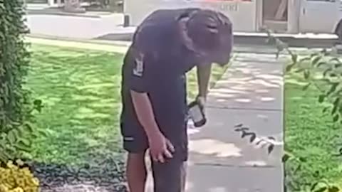 Doggo Gives Delivery Driver A Hug🥹