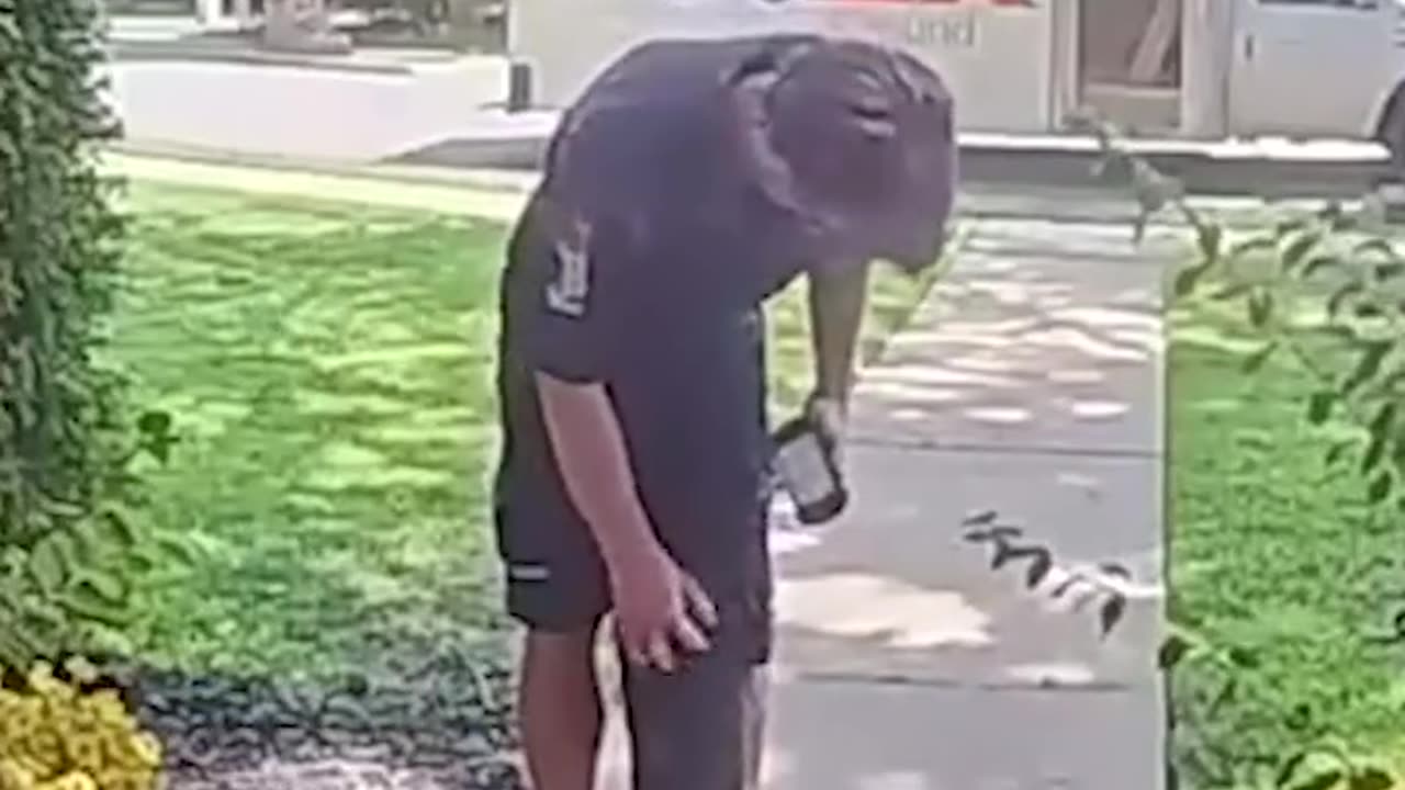 Doggo Gives Delivery Driver A Hug🥹