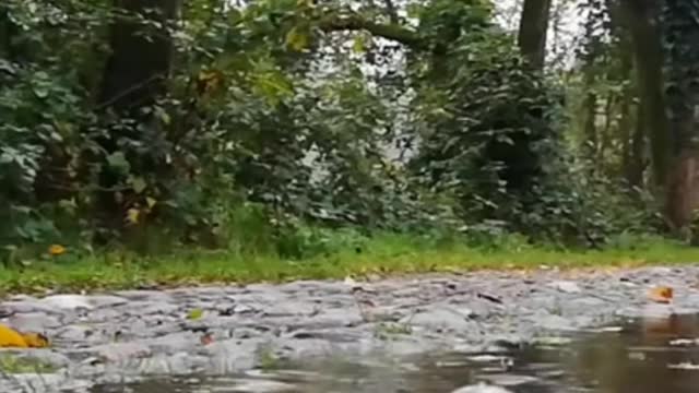 Best way #relaxing, #rain, #piano, #music,#nature, #rainsound, #sleeping