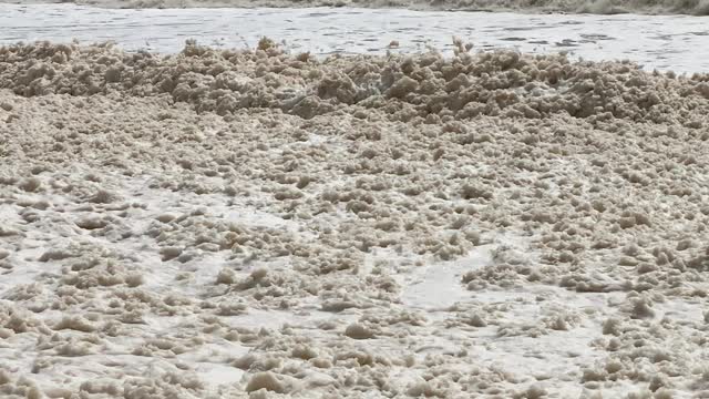 Fully Surrounded by Sea Foam