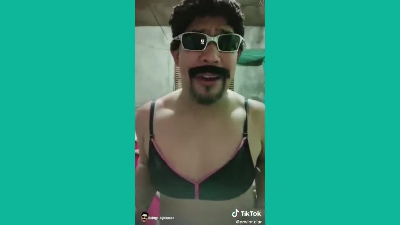 funny videos from the net