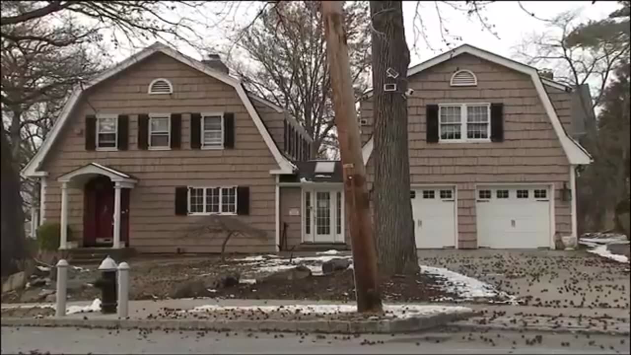 Couple buy Queens dream home to care for their disabled son, only for the squatter to call police.