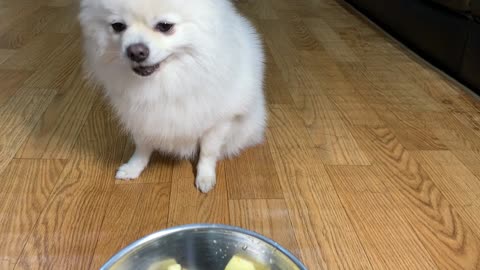 The sound of a dog eating an apple.