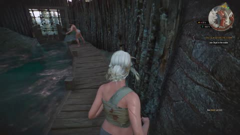 The Witcher 3 missing persons part 3 nameless ciri healing
