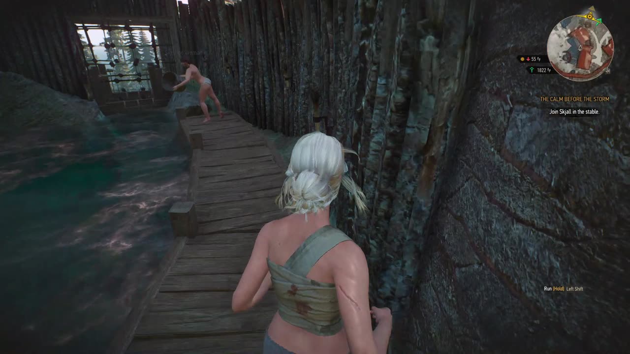 The Witcher 3 missing persons part 3 nameless ciri healing