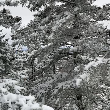 The top. Of here anyway