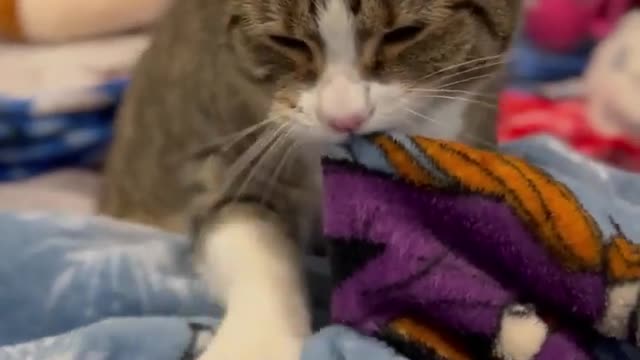 "I mean I don’t want them to go to waste… but so many carbs 😭"