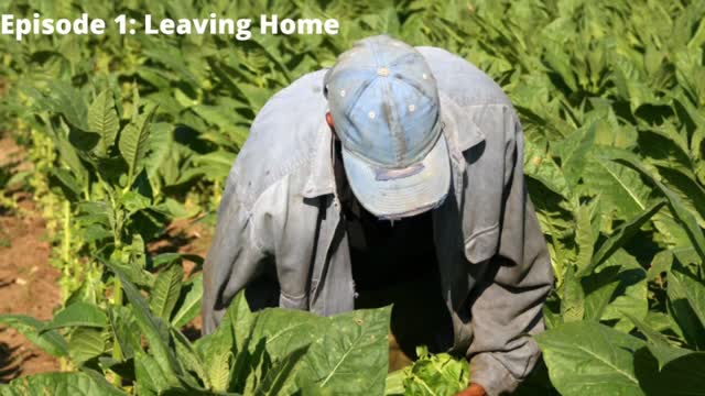 The Prodigal Son episode 1