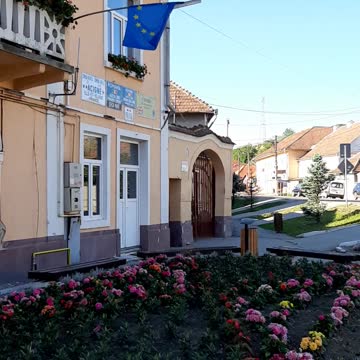 Seica Mare, langa Primarie, radiatie radiofrecventa