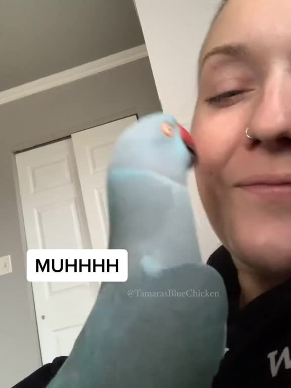 Goodness 👁 thebluechicken thankyoubaby fyp funnypets talkingparrot