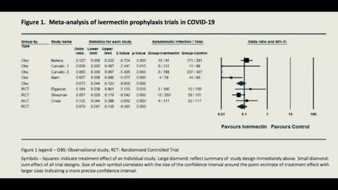 Parte 3 - CORONA VIRUS EXPOSED - IVERMECTINA