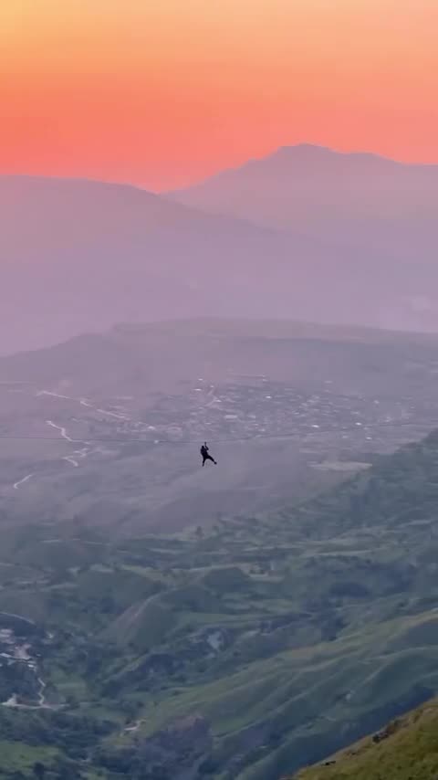 No interest and no trust