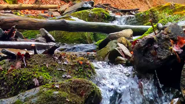 Stream in an Autumn landscape