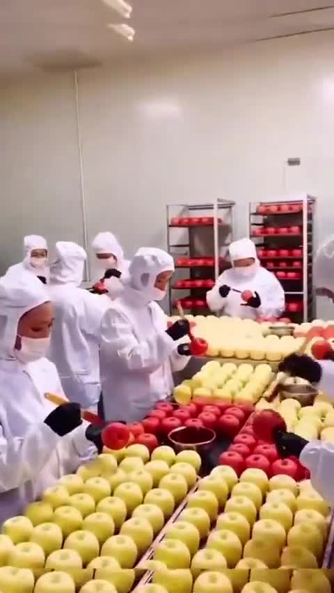 How 'bout them apples!