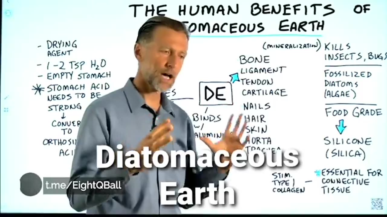 diatomaceous earth