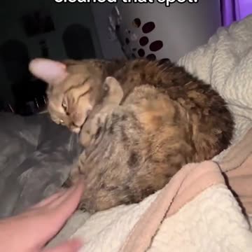 Top 10 betrayals right here! 😤👅😂